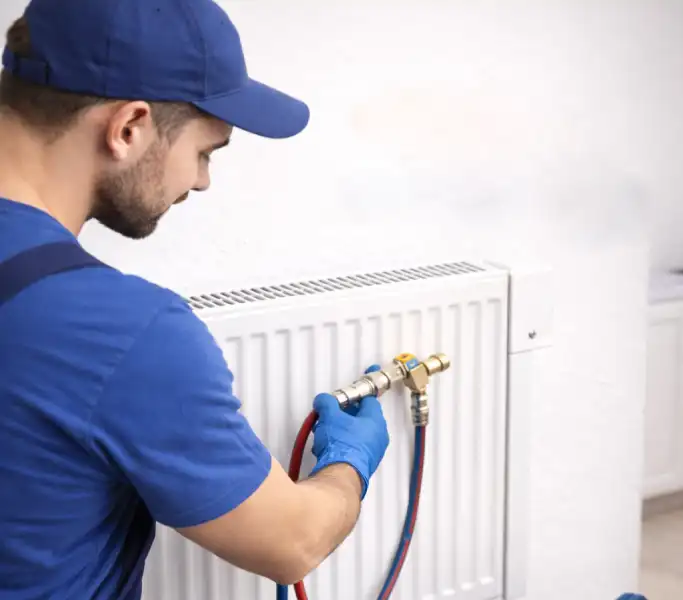 hizmet - petek temizleme - web